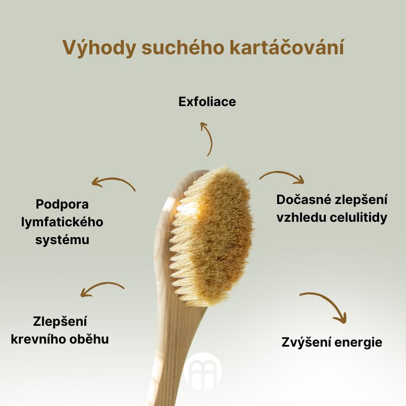 Výhody suchého kartáčování